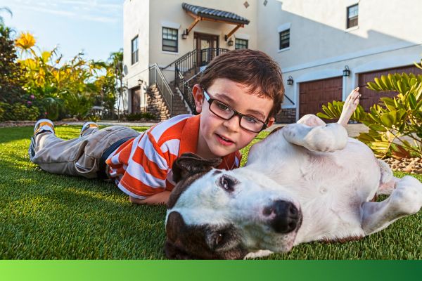 residential turf yard boy with dog