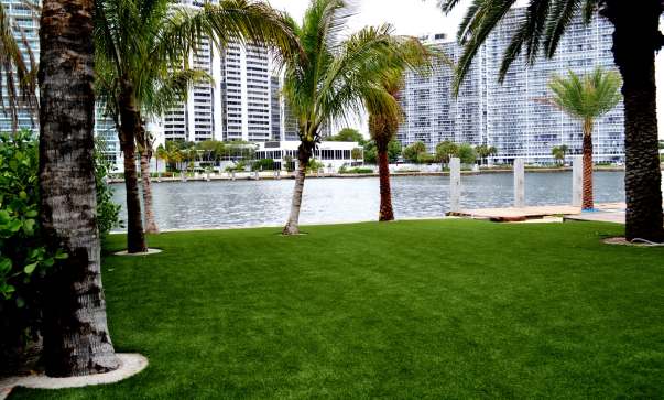 Lawn