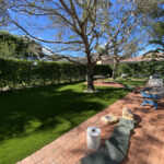 Photo Feb 15 2023, 11 02 44 PM