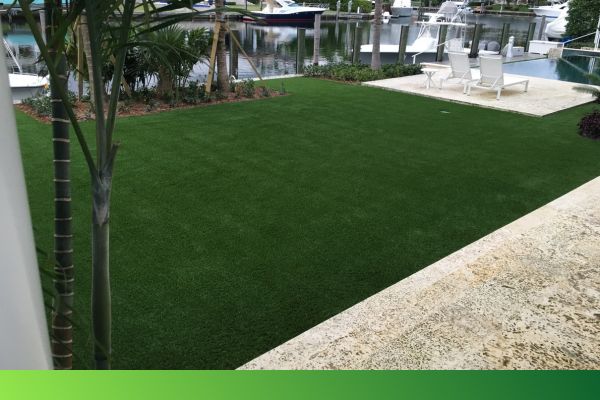 img of turf