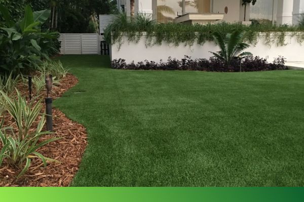 img of turf