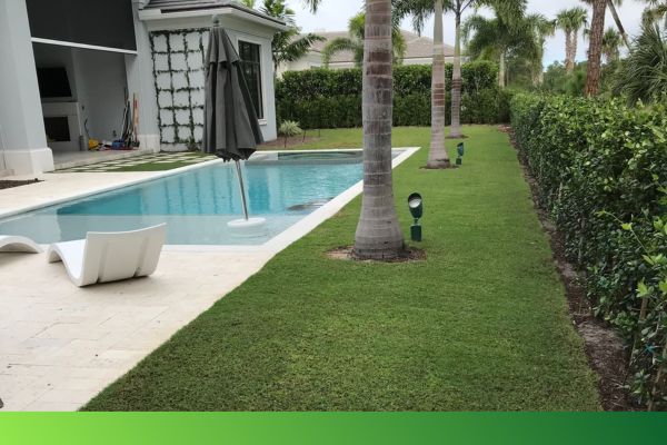 backyard with artificial turf