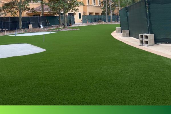 consider the following