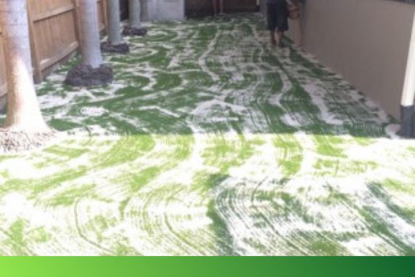 lawn maintenance (1)