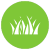 lawn
