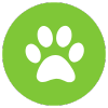 pet