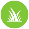 Davie icon